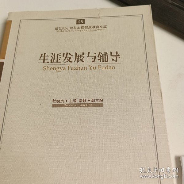 新世纪心理与心理健康教育文库（49）：生涯发展与辅导