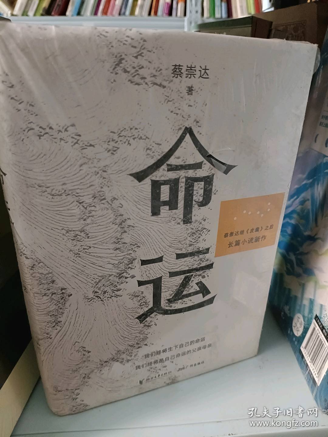 命运蔡崇达9787533969608浙江文艺出版社