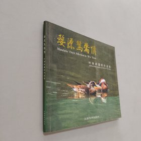 婺源鸳鸯情:叶学龄摄影作品选