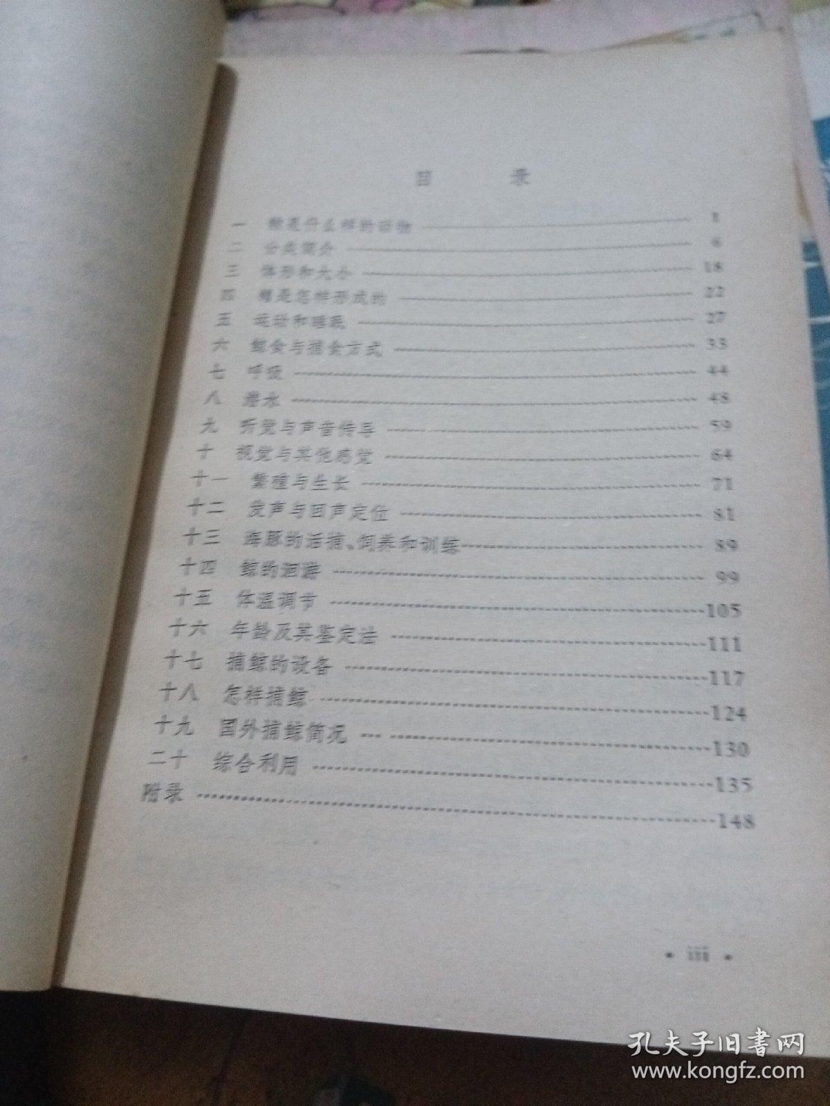 鲸与捕鲸