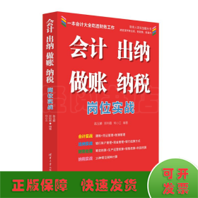 会计 出纳 做账 纳税岗位实战