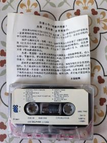 浪漫小号，晚霞的剪影