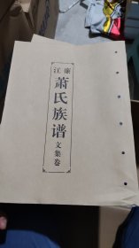 廉江萧氏族谱1-10+文集卷，11本合售