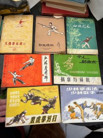 武术书籍：南拳，少林拳对打法，少林拳击法格斗，初级棍术，擒拿与解脱2册，少林武功擒拿连手短打，黑虎拳对打，罗汉神灯，少林拳图解，太极拳运动，初级剑术（12本）