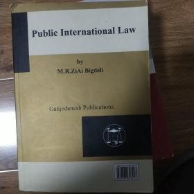 Public International Law