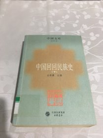 中国回回民族史（下册）