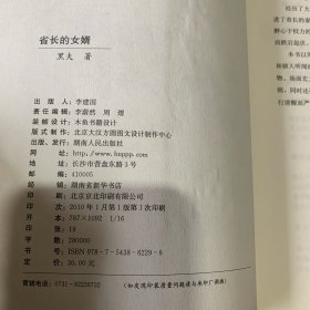 省长的女婿 官场小说