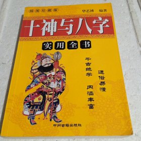 十神与八字