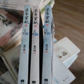 杀手皇妃