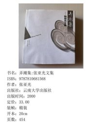 弄潮集张亚光文集张亚光云南大学出9787810681568