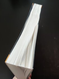 公司的企业家精神：高层管理者和业务创新