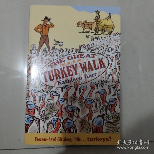 The Great Turkey Walk