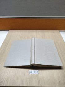 爆裂：未来社会的9大生存原则