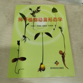 种子植物幼苗形态学