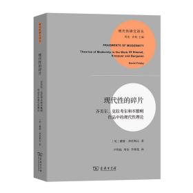 现代性的碎片：齐美尔、克拉考尔和本雅明作品中的现代性理论