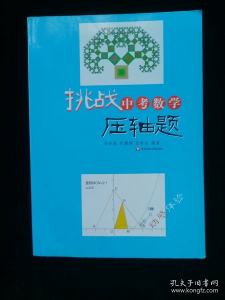 挑战中考数学压轴题