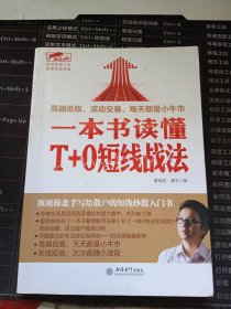 擒住大牛：一本书读懂T+0短线战法