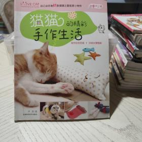 猫猫的精彩手作生活