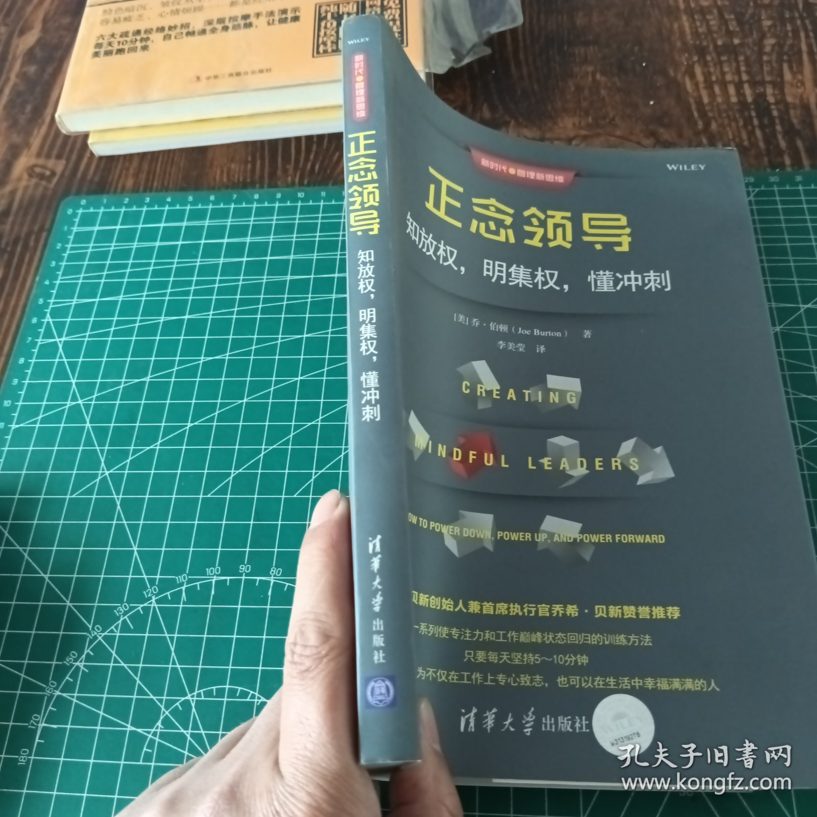 正念领导：知放权，明集权，懂冲刺（新时代·管理新思维）