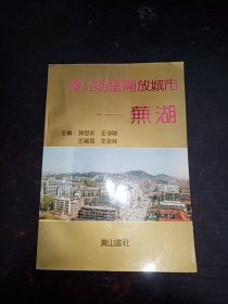 长江明星开放城市——芜湖