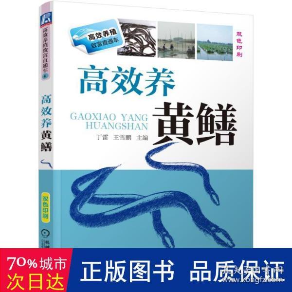 高效养殖致富直通车：高效养黄鳝