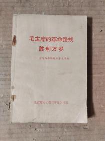 毛主席的革命路线胜利万岁：党内两条路线斗争史简编