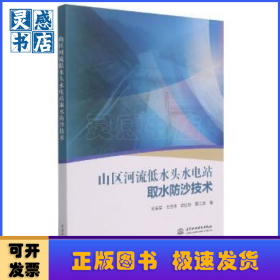 山区河流低水头水电站取水防沙技术