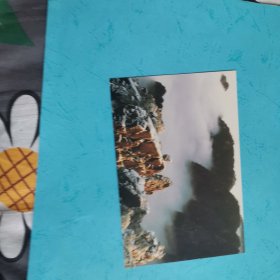YP15黄山石猴观海邮资明信片