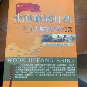 我的解放时刻：34个大城市解放纪实