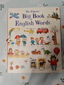 the usborne big book of English words