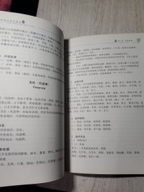 壮医病证诊疗规范/中国东盟传统医药文库