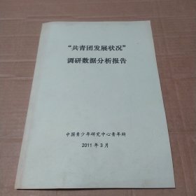 共青团发展状况调研数据分析报告