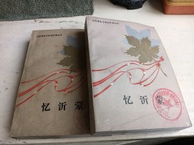 忆沂蒙:上下册