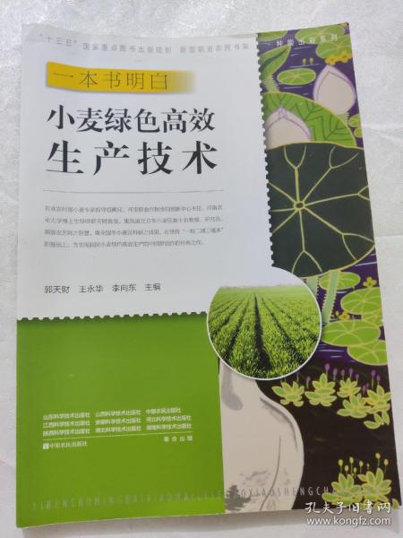 一本书明白小麦绿色高效生产技术
