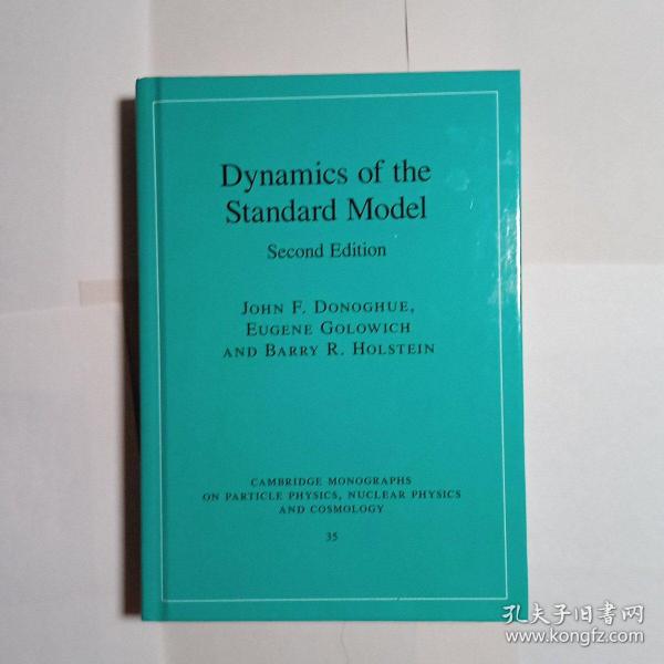 Dynamics of the Standard Model