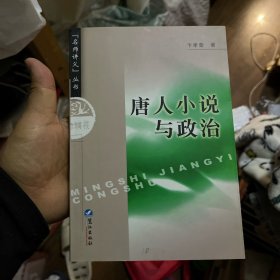 唐人小说与政治