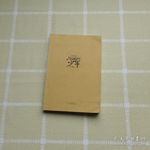 此间的少年：十周年纪念版