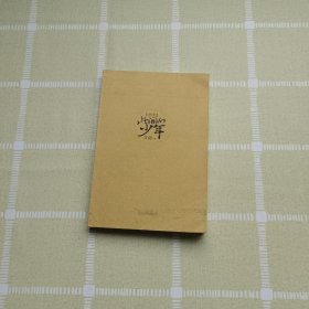 此间的少年：十周年纪念版