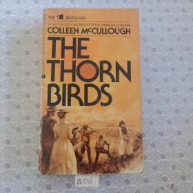 The Thorn Birds