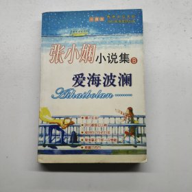张晓霞小说集 B 爱海波澜