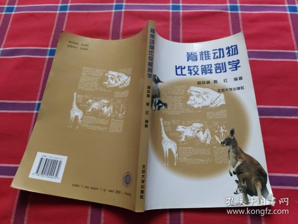 脊椎动物比较解剖学
