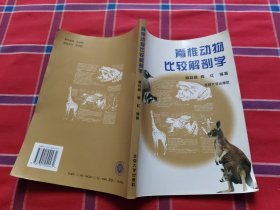 脊椎动物比较解剖学