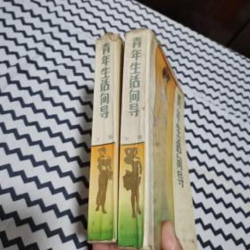 青年生活向导 （上下）