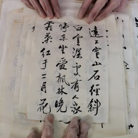 17 书画软片 30张合售 都是同一个人的书法作品 尺寸不同