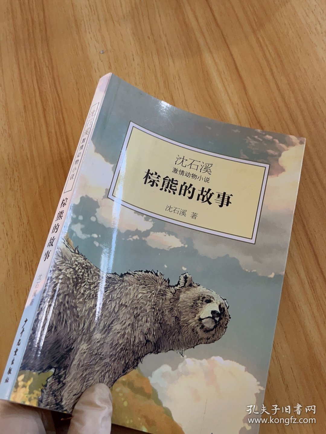 沈石溪激情动物小说：棕熊的故事