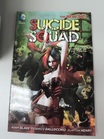 Suicide Squad Vol. 1：Kicked in the Teeth