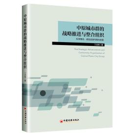 中原城市群的战略推进与整合组织 战略管理 丁志伟|责编:丁楠