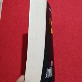 PC图像处理技巧与实践