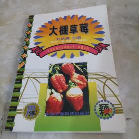 大棚草莓