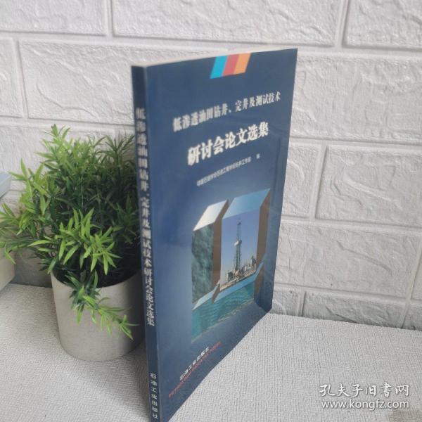 低渗透油田钻井、完井及测试技术研讨会论文选集